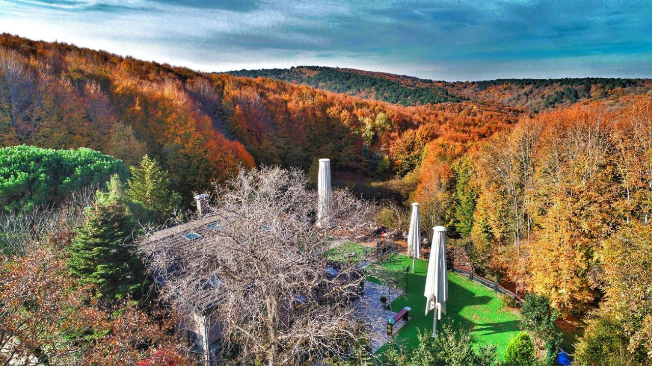 Villa Polonez Provincia di Provincia di Istanbul Esterno foto